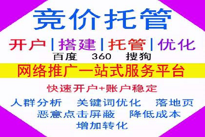 经典案例：专业SEM托管如何实现ROI最大化